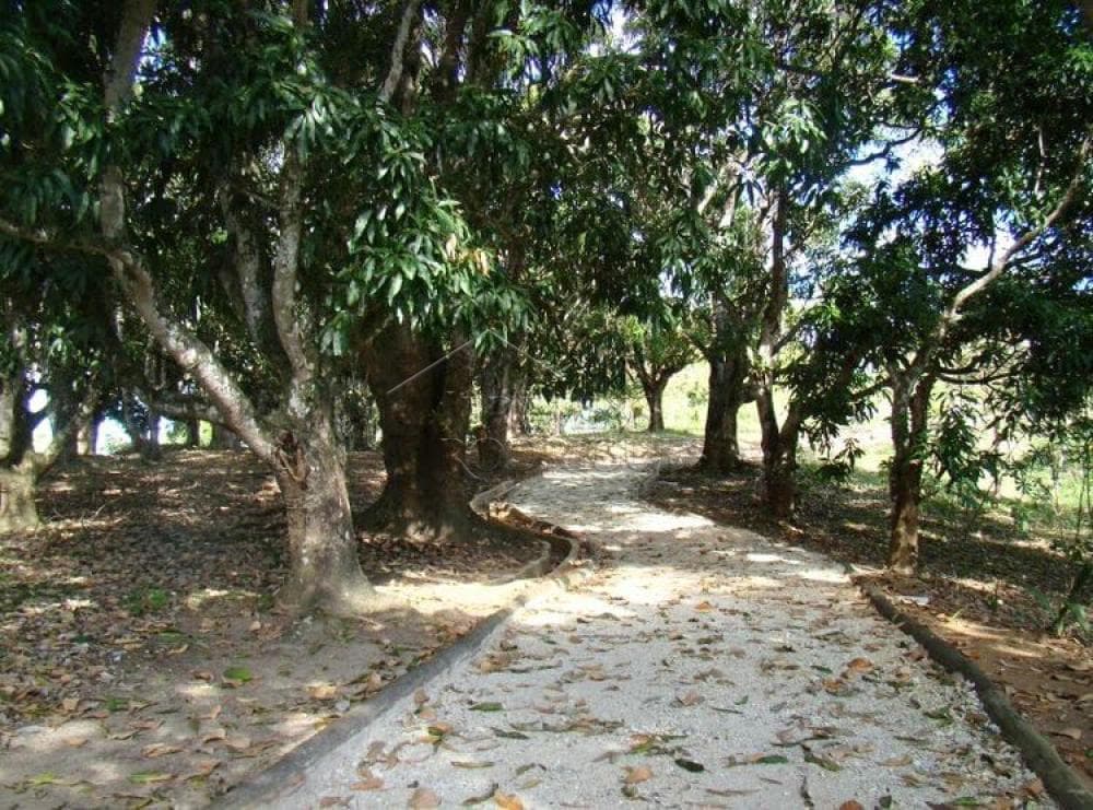 Terreno à venda no Condomínio Altos do Cataguá em Taubaté/SP - foto 8