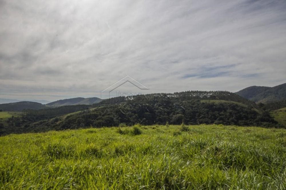 Fazenda à venda em Roseira/SP - foto 95