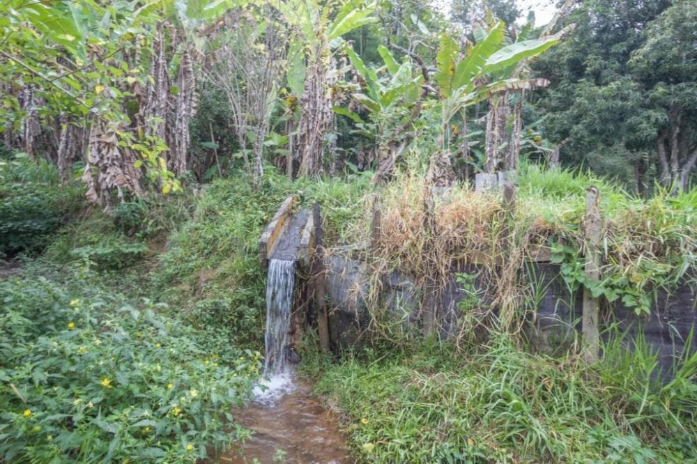 Fazenda à venda em Roseira/SP - foto 81