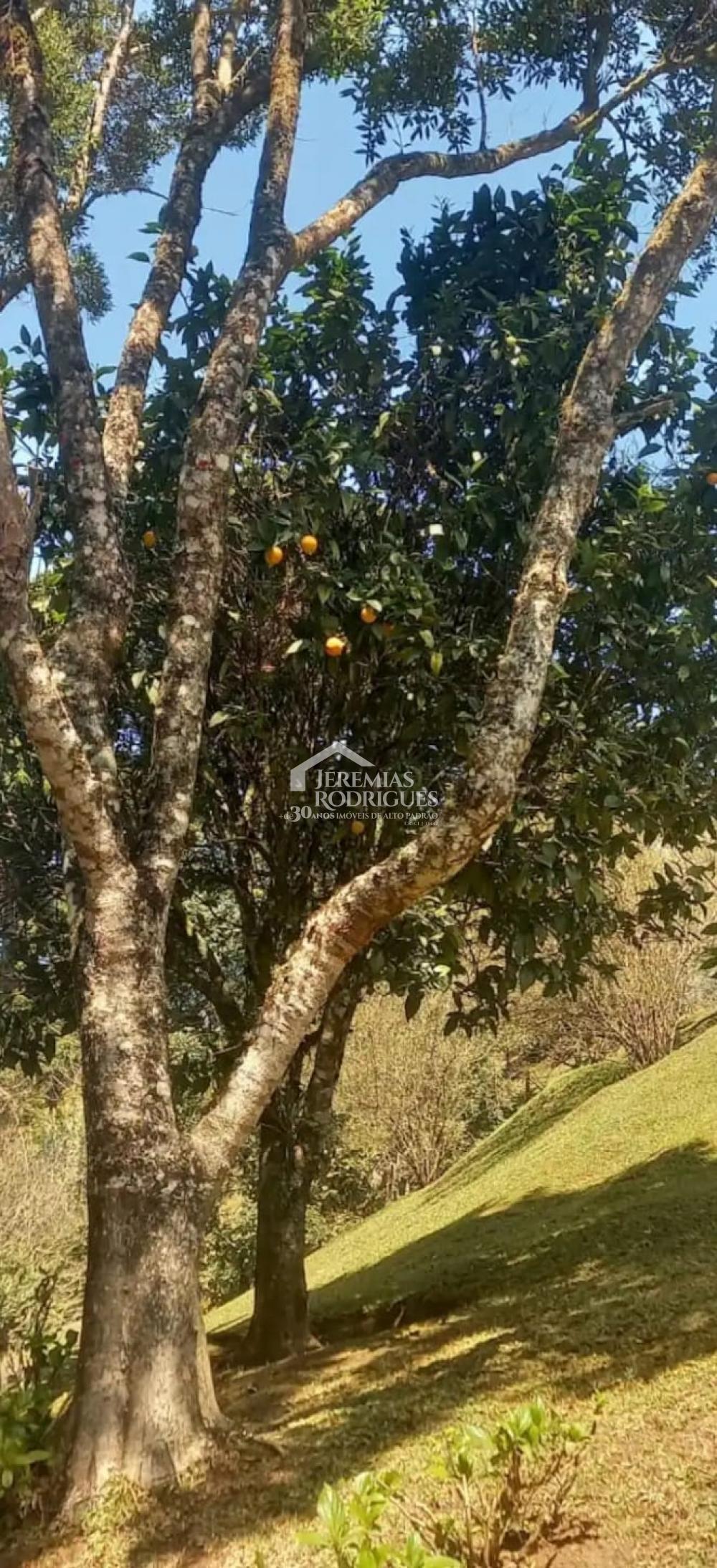 Casa no Condomínio Colinas do Sol em Campos do Jordão/SP - foto 24