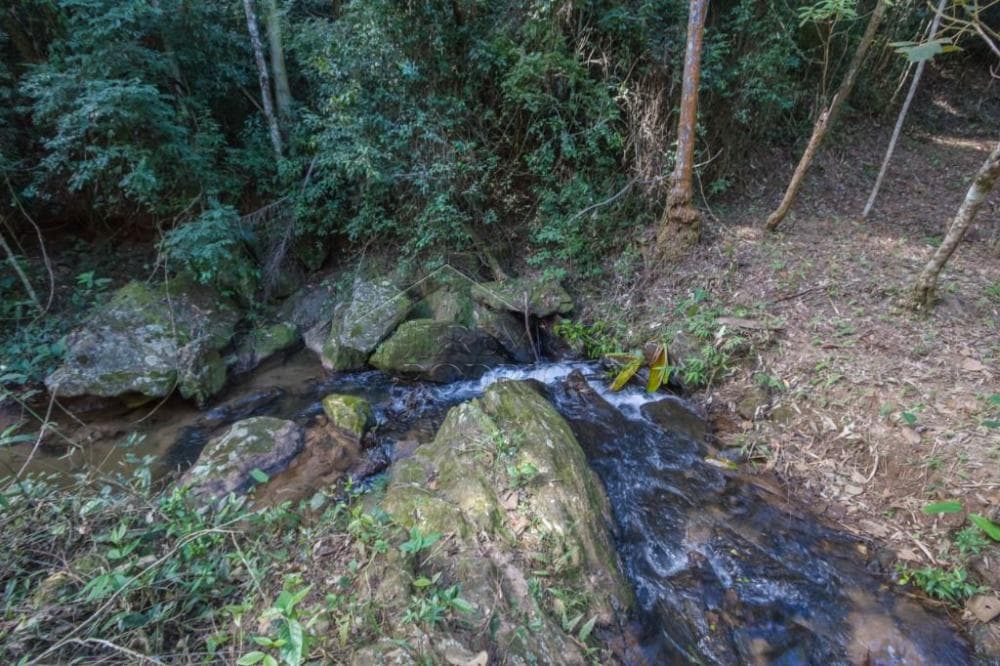 Fazenda à venda em Roseira/SP - foto 98