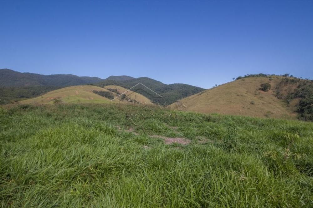 Fazenda à venda em Roseira/SP - foto 94