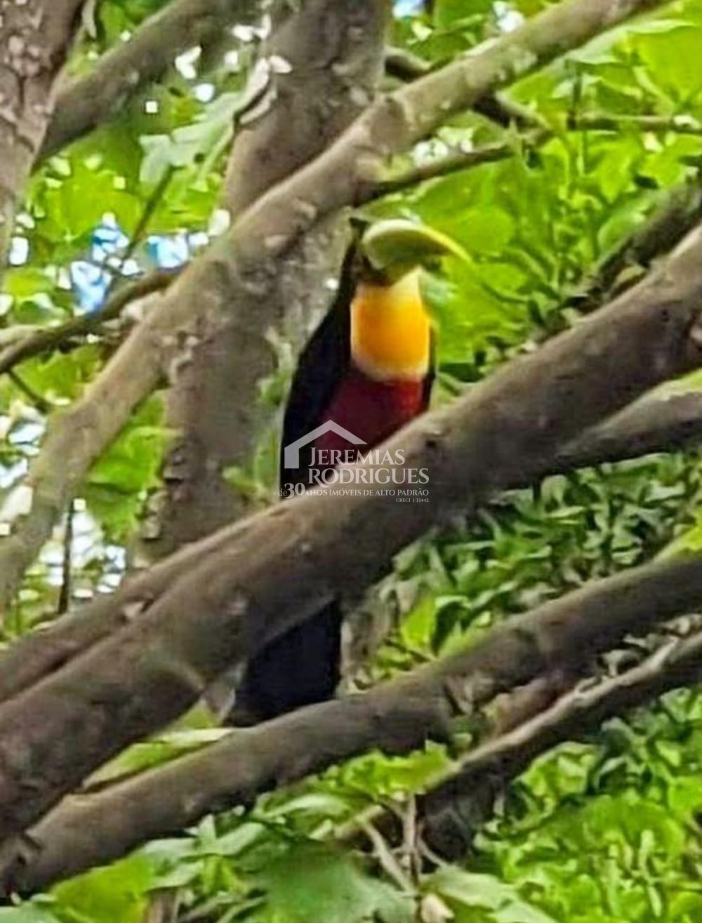 Casa no Condomínio Colinas do Sol em Campos do Jordão/SP - foto 20