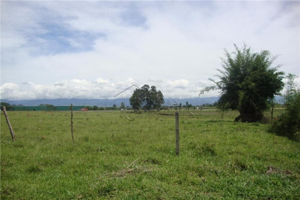 Área rural à venda com 123.247 m² no bairro Jardim Regina em Pindamonhangaba/SP. - foto 15