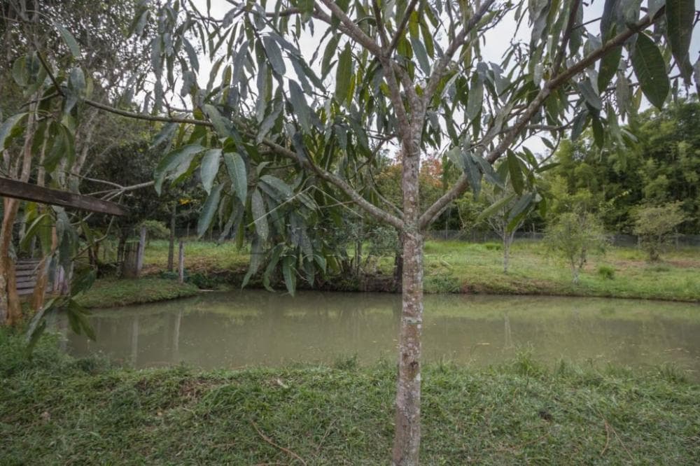 Fazenda à venda em Roseira/SP - foto 79