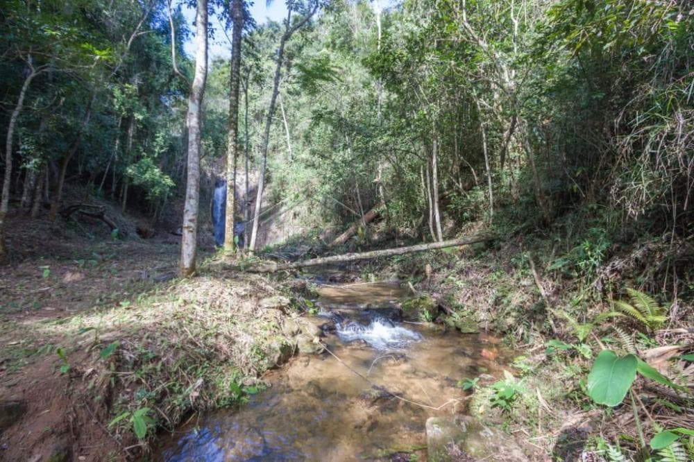 Fazenda à venda em Roseira/SP - foto 99