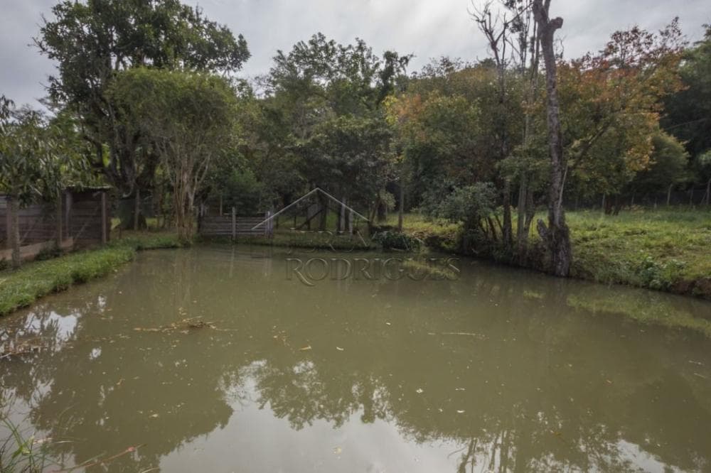Fazenda à venda em Roseira/SP - foto 84