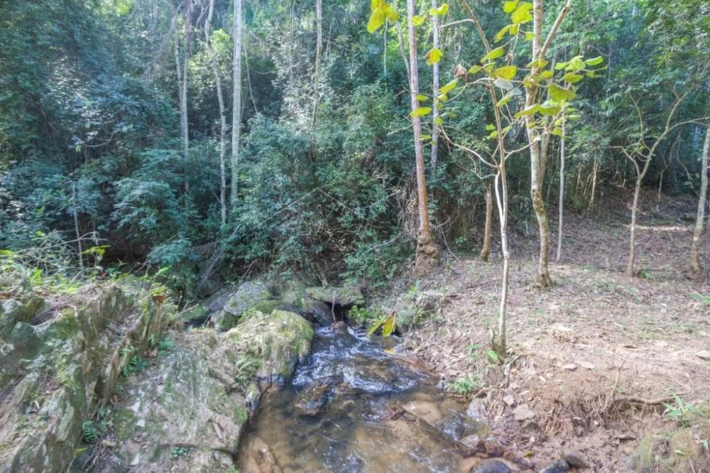 Fazenda à venda em Roseira/SP - foto 100