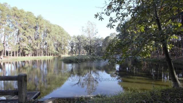 Terreno à venda no Condomínio Village Paineiras em Pindamonhangaba/SP. - foto 5