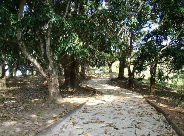 Terreno à venda no Residencial Reserva Altos do Cataguá em Taubaté/SP. - foto 4