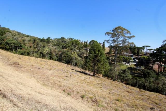 Terreno à venda no Condomínio Reserva Figueiredo em Campos do Jordão/SP — foto 1