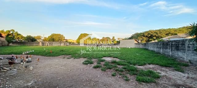 Terreno com 2.861 m² - Maria Áurea - Pindamonhangaba/SP. — foto 1