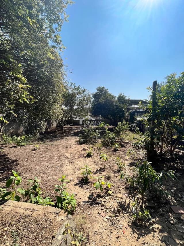 Terreno com 810 m² - Boa Vista - Pindamonhangaba/SP. — foto 1