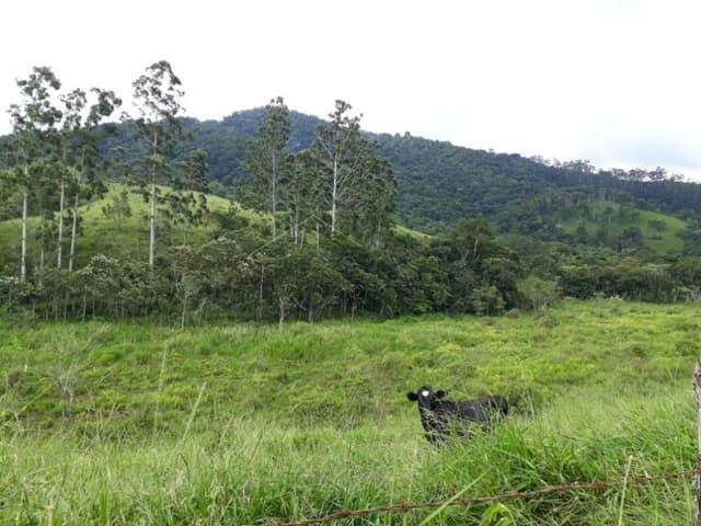 Terreno misto à venda por R$ 450.000,00 - Pindamonhangaba/SP - foto 3