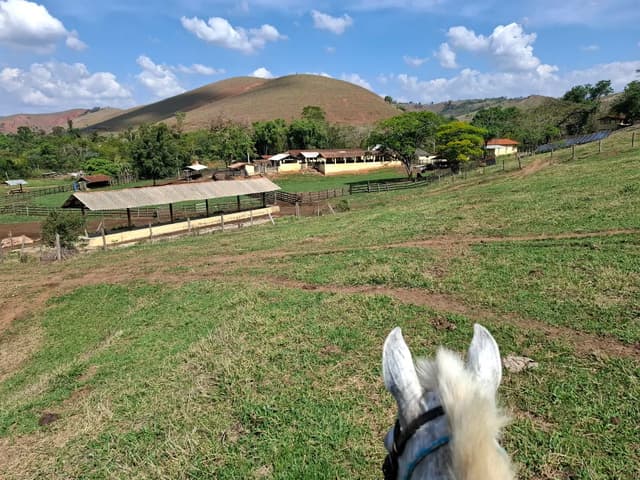 Fazenda à venda com 60 alqueires em Lorena/SP.  — foto 1