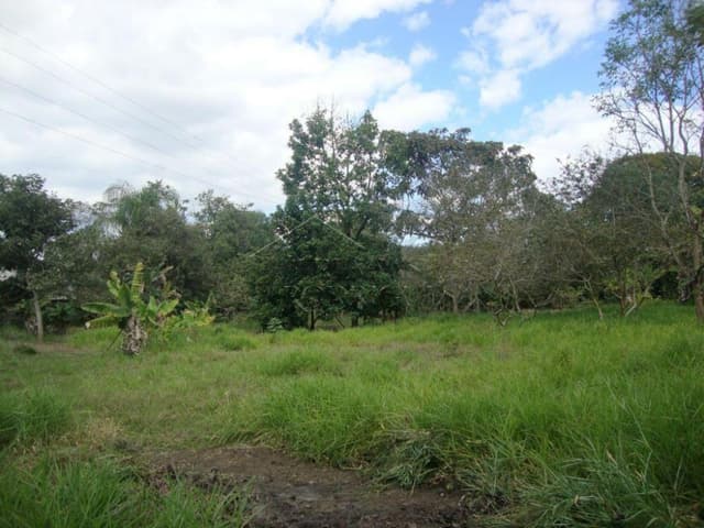 Área à venda com 33.000,00 m² no bairro Água Preta em - Pindamonhangaba/SP — foto 1