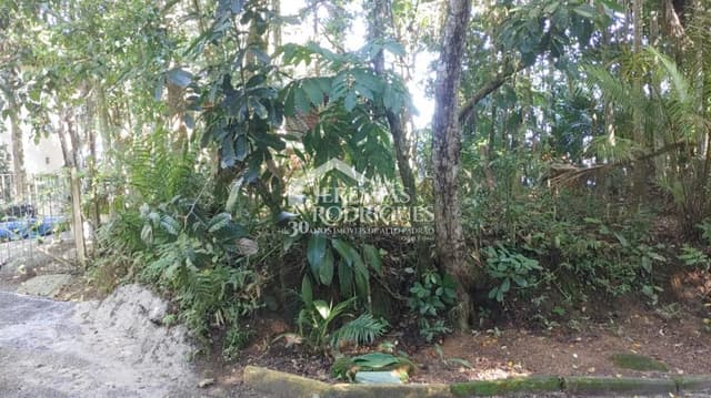 Terreno à venda no bairro Ponta Grossa em Ubatuba/SP. — foto 1