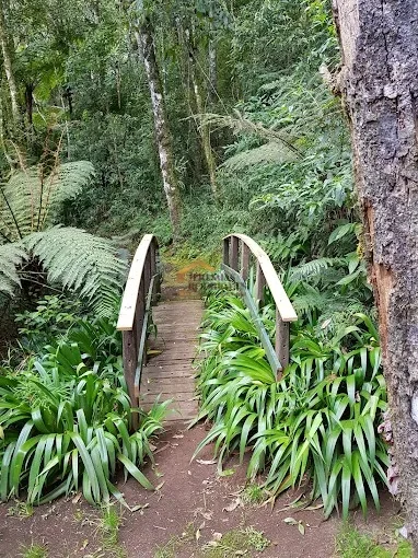 Casa à venda no Condomínio Ecológico I em Campos do Jordão/SP. — foto 48