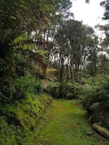 Casa à venda no Condomínio Ecológico I em Campos do Jordão/SP. — foto 46