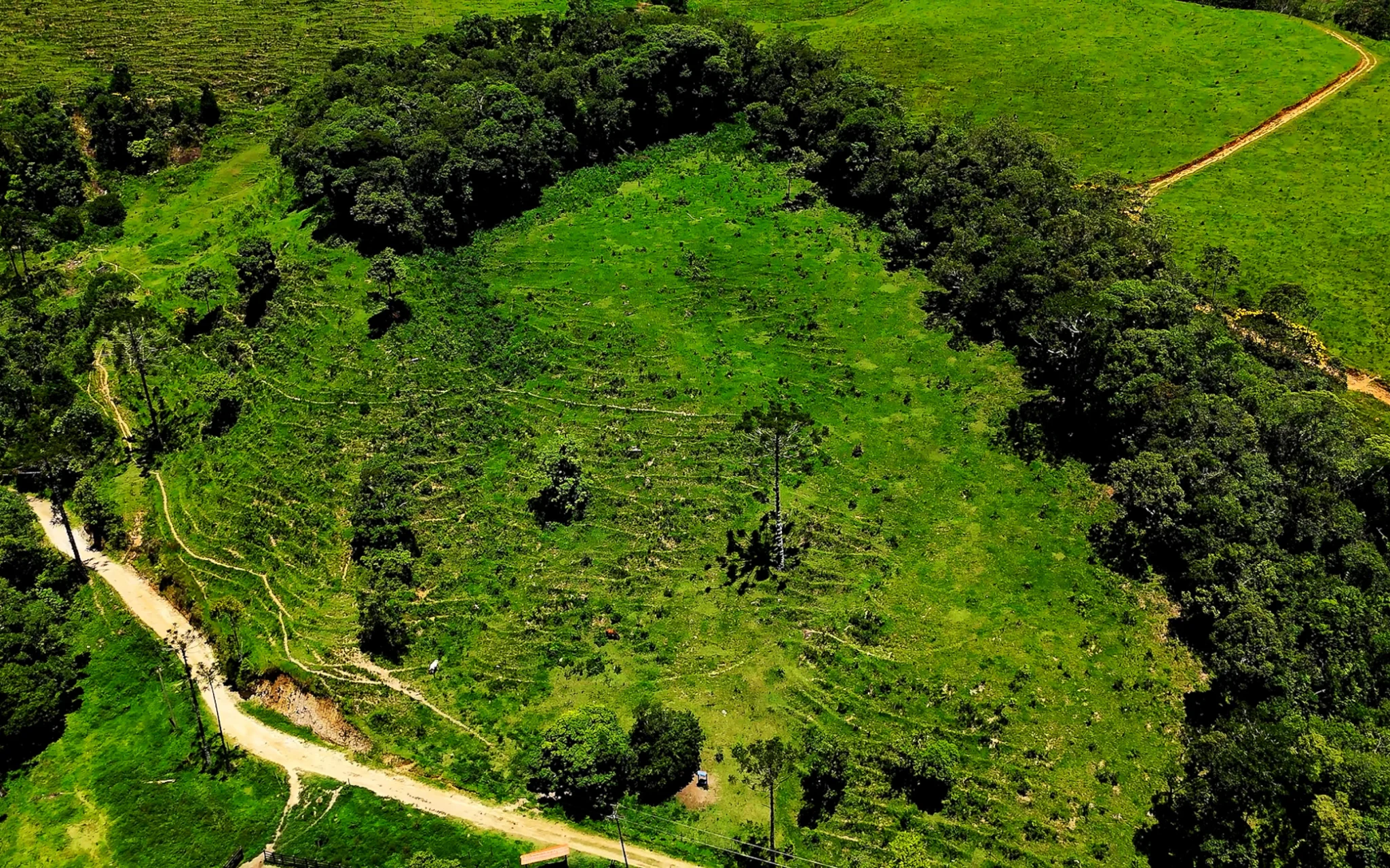 Fazenda à venda com 78 hectares em São José do Barreiro/SP. 