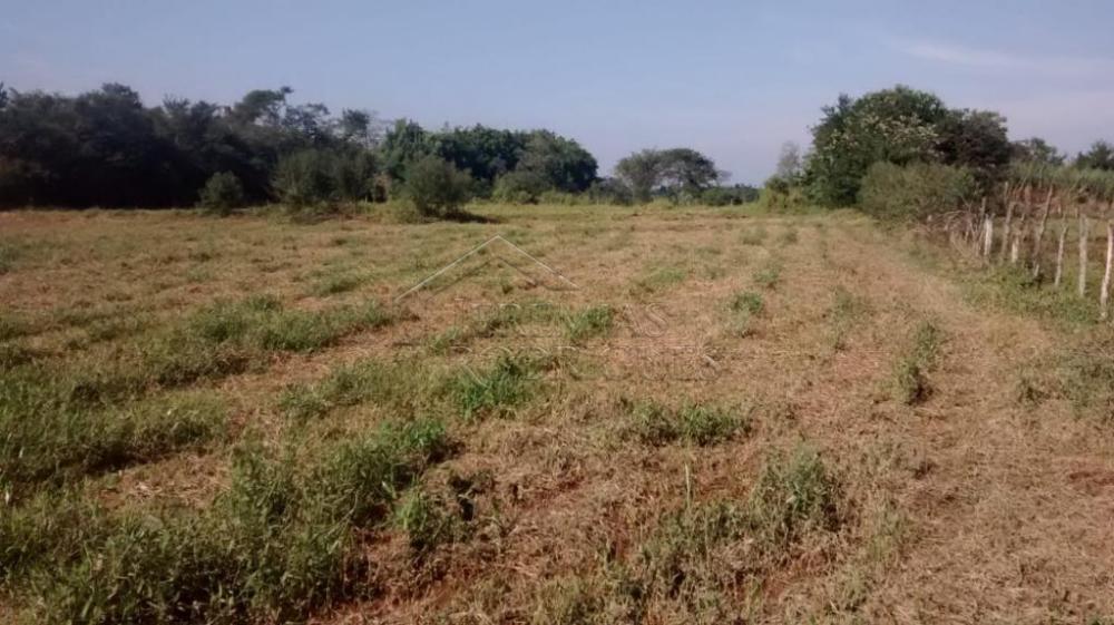 Rural misto à venda por R$ 1.500.000,00 - Pindamonhangaba/SP