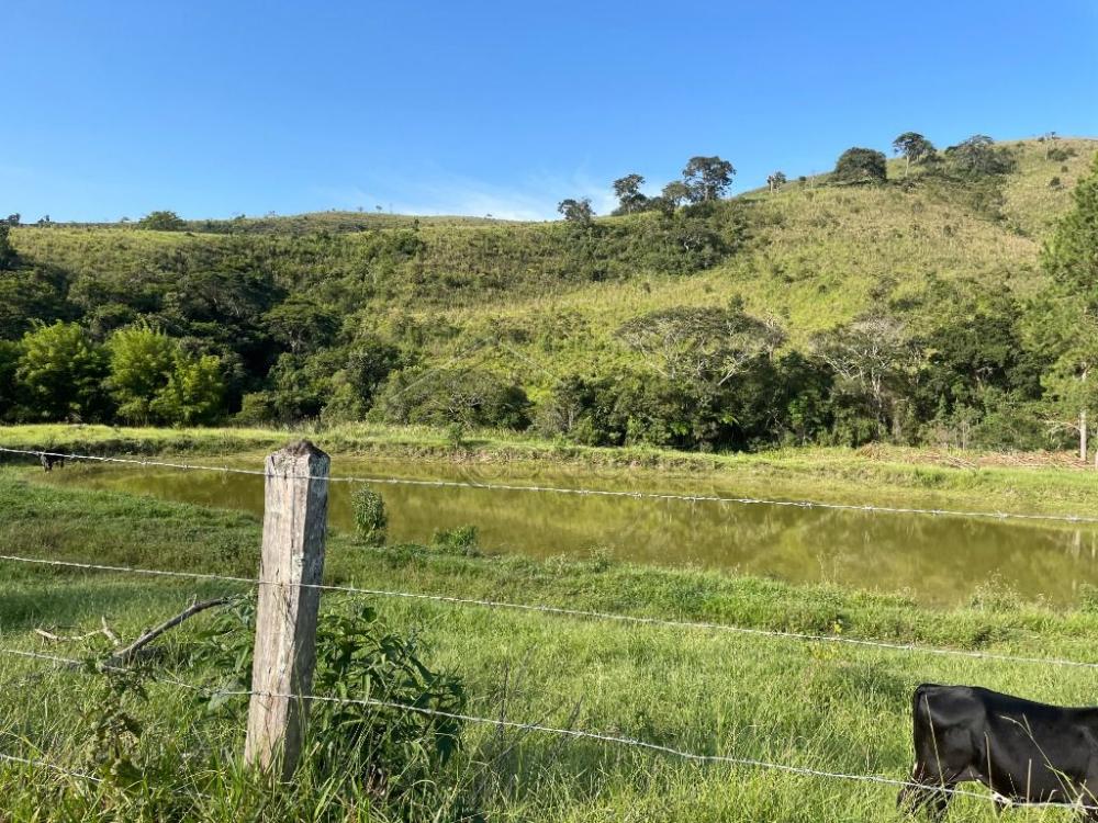Fazenda à venda em Cunha/SP