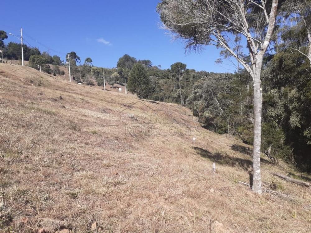 Terreno residencial à venda por R$ 1.000.000,00 - Campos do Jordão/SP