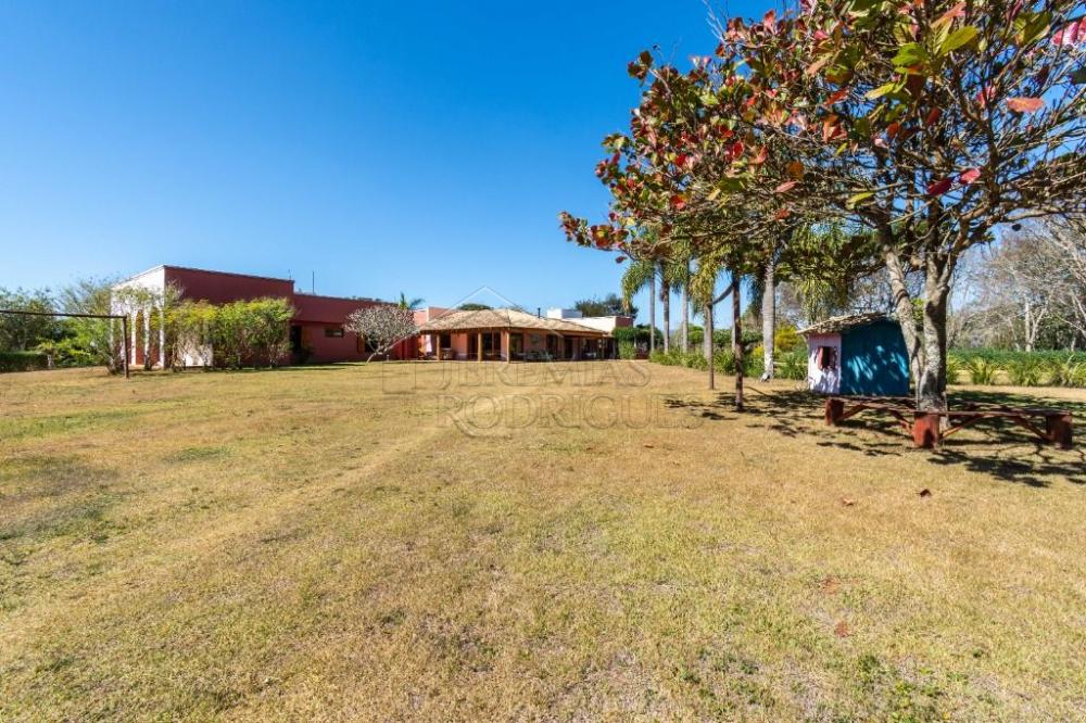 Sítio com 7 quartos, 38 hectares - Cachoeira Grande - Lagoinha/SP