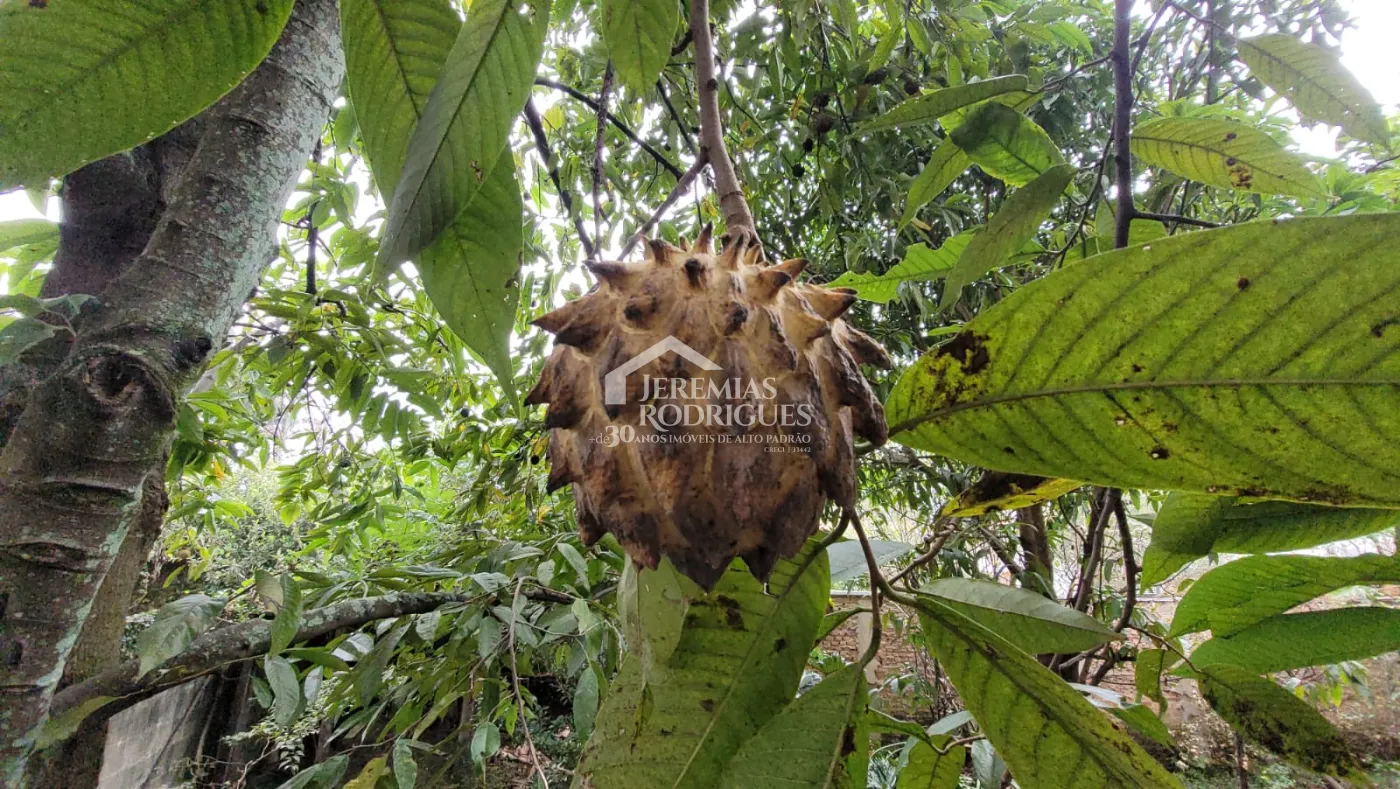 Terreno com 1.200 m² - Condomínio Village Paineiras - Pindamonhangaba/SP.
