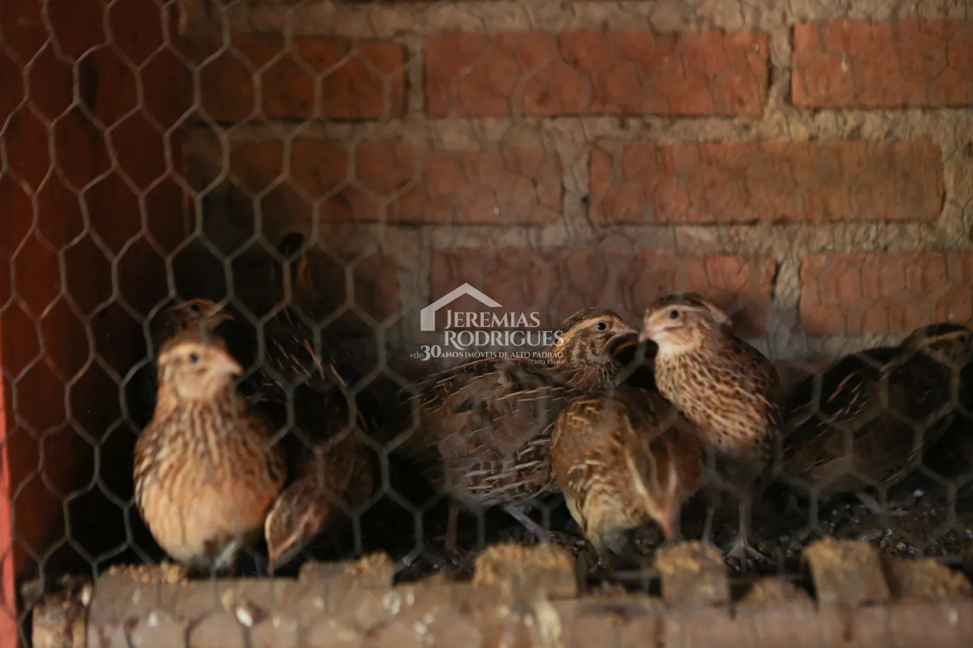 Chácara à venda no bairro do Sapucaí, em Sapucaí-Mirim/MG.
