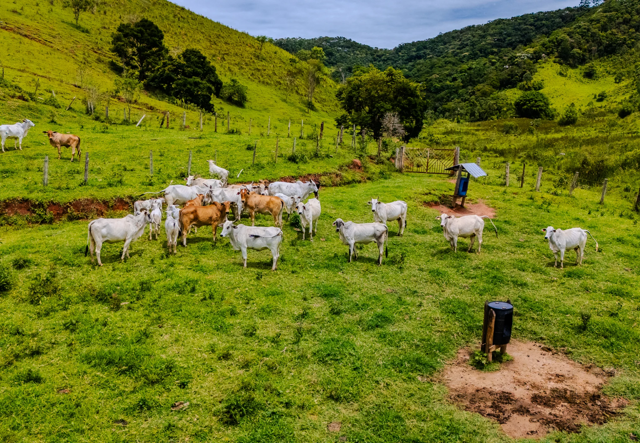 Fazenda à venda com 80 Alqueires em Redenção da Serra/SP. 