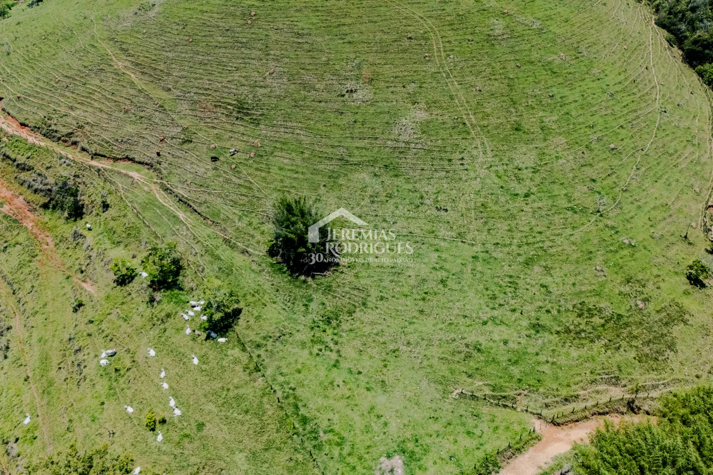 Fazenda à venda com 919,6 hectares em Cachoeira Paulista/SP.