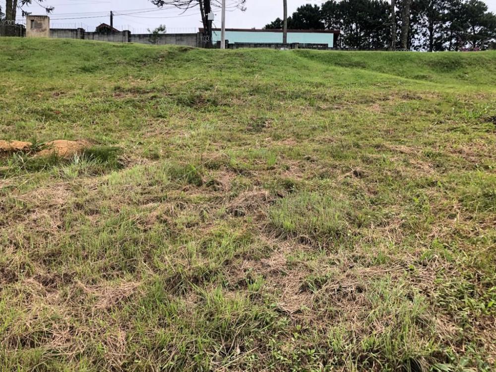 Terreno residencial à venda por R$ 1.000.000,00 - Campos do Jordão/SP