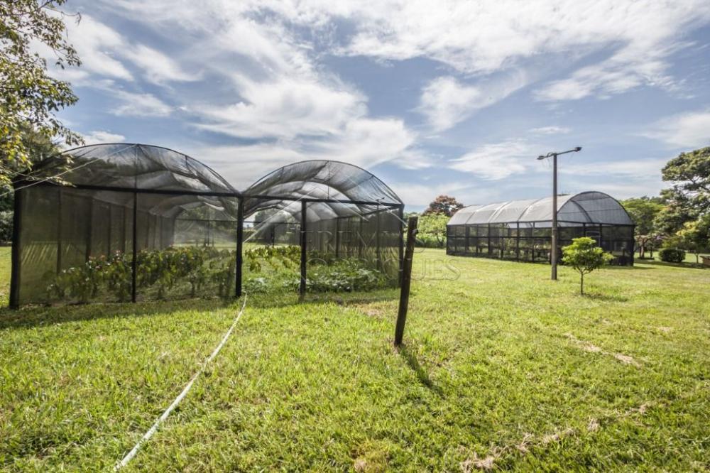 Sítio com 3 quartos, 59.895 m² no bairro Mandú em Pindamonhangaba/SP.