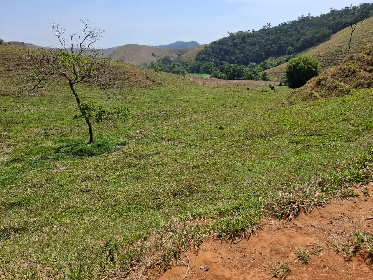 Fazenda à venda com 60 alqueires em Lorena/SP. 