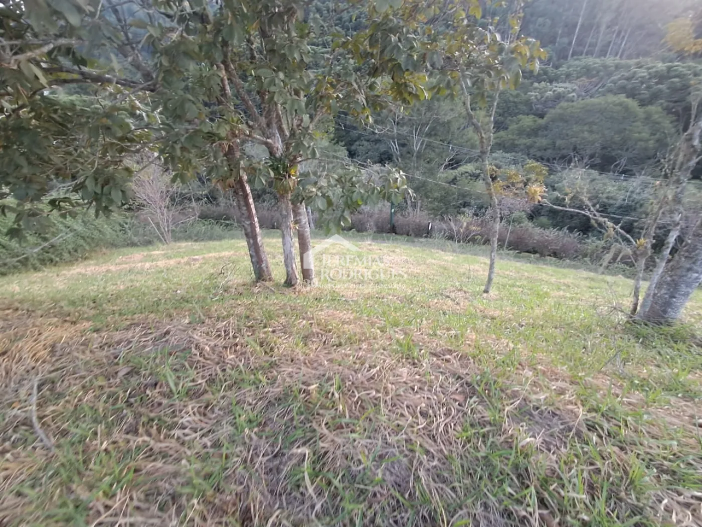 Terreno à venda com 1.739 m² no Condomínio Parque da Mantiqueira, em Santo Antônio do Pinhal