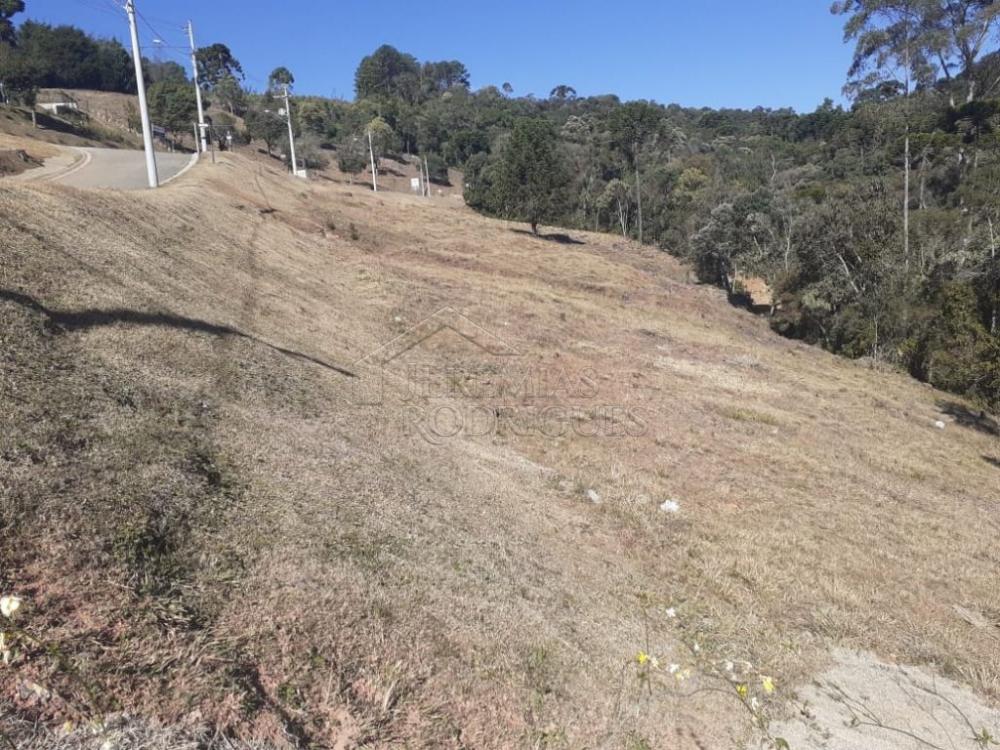 Terreno residencial à venda por R$ 1.000.000,00 - Campos do Jordão/SP