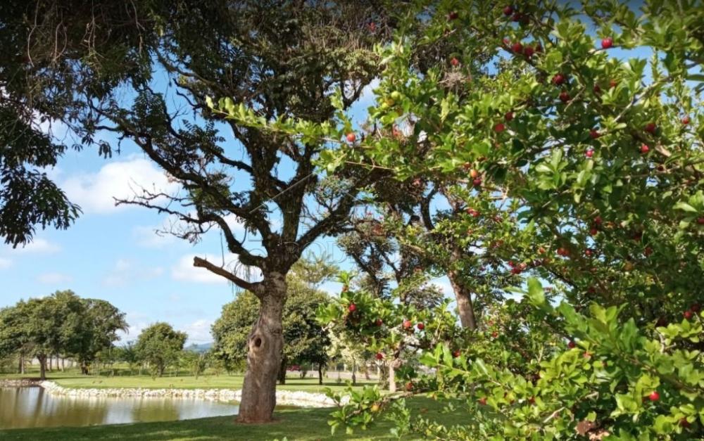 Terreno residencial à venda por R$ 315.000,00 - Taubaté/SP