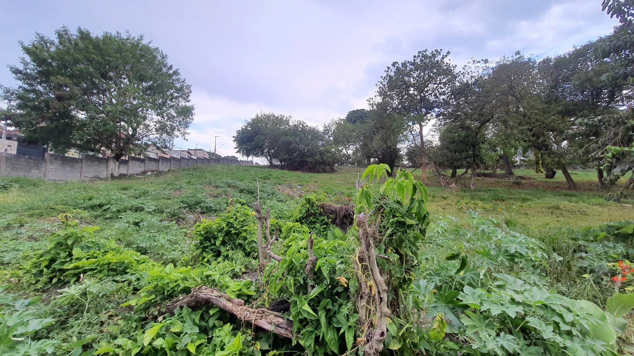 Área à venda com 13.173 m² no bairro Vila São José em Taubaté/SP.