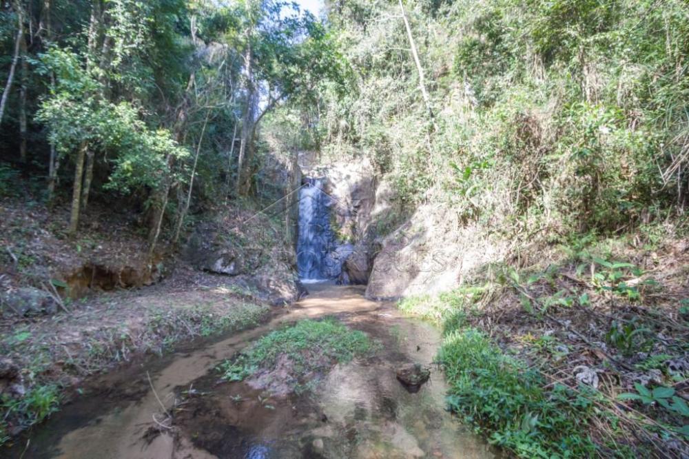 Rural misto à venda por R$ 20.000.000,00 - Roseira/SP