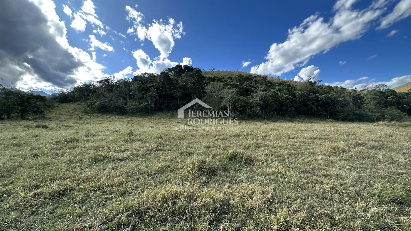 Fazenda para criação de gado de corte e plantação de milho, com mais de 612 hectares, em Cruzeiro-SP.