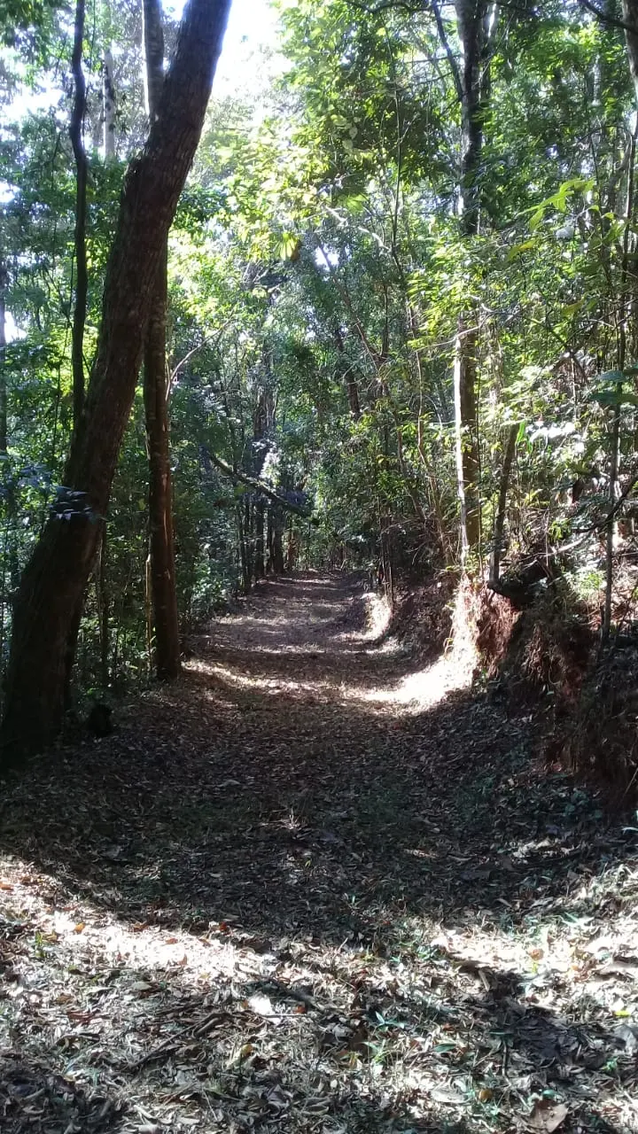 Fazenda á venda na Serra da Mantiqueira em Santo Antônio do Pinhal/SP.