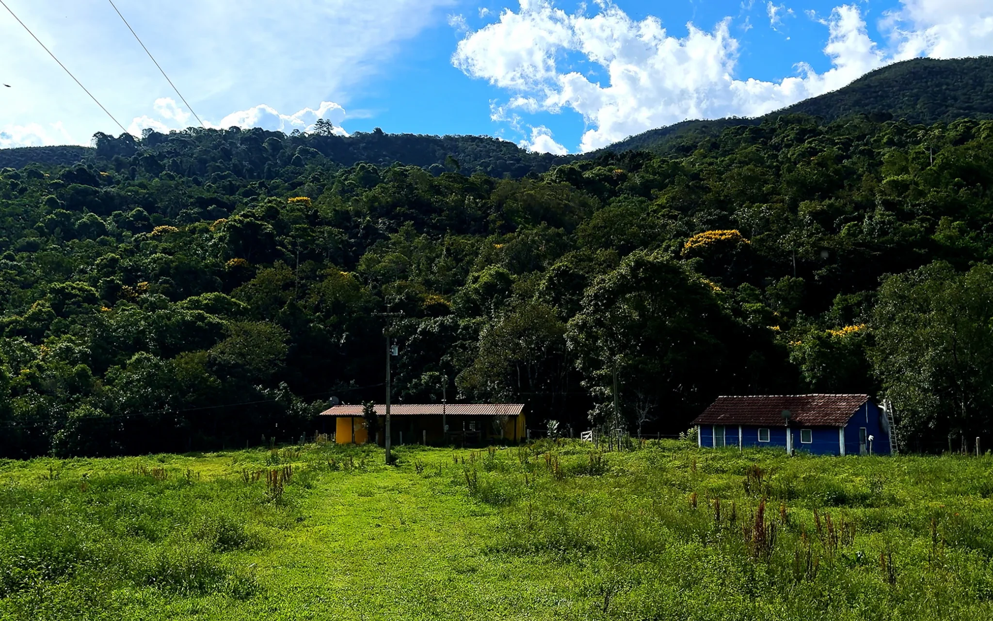 Fazenda à venda com 78 hectares em São José do Barreiro/SP. 