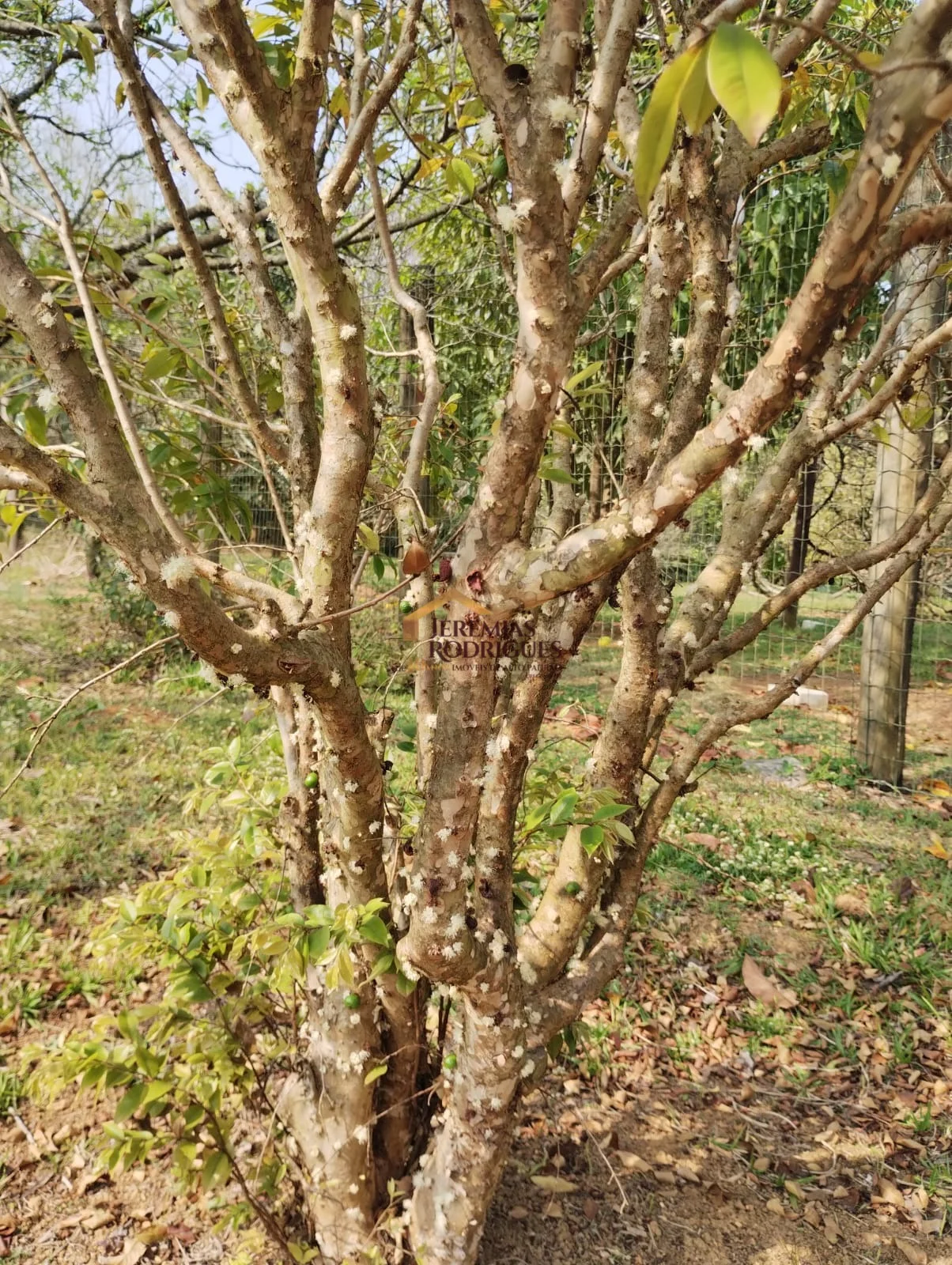 Terreno à venda no Condomínio Parque da Mantiqueira em Santo Antônio do Pinhal/SP. - foto 12