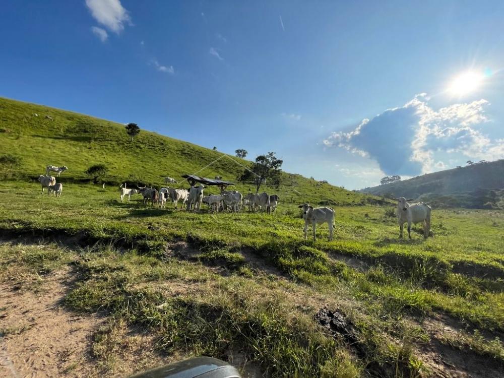 Fazenda à venda em Cunha/SP