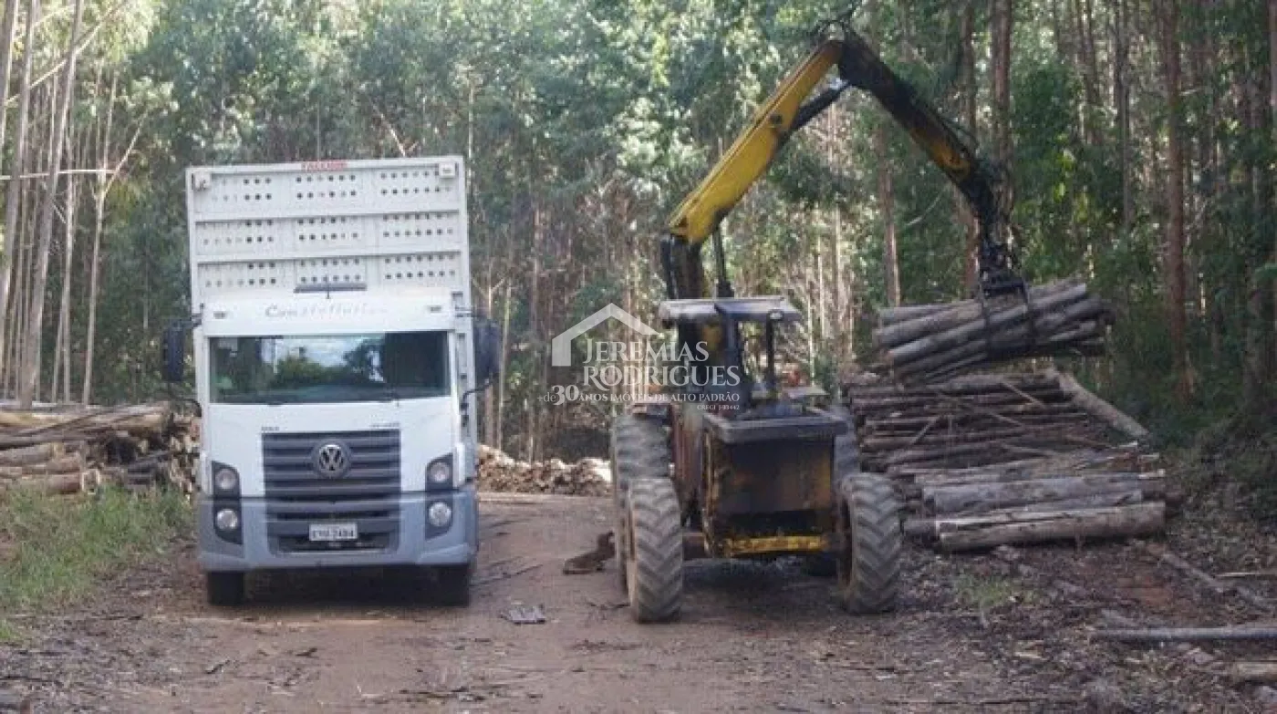 Fazenda com 3 quartos, 98 hectares, à venda por R$ 1.780.000- Zona Rural - Cunha/SP