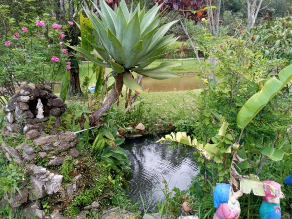 Fazenda à venda em Pindamonhangaba/SP