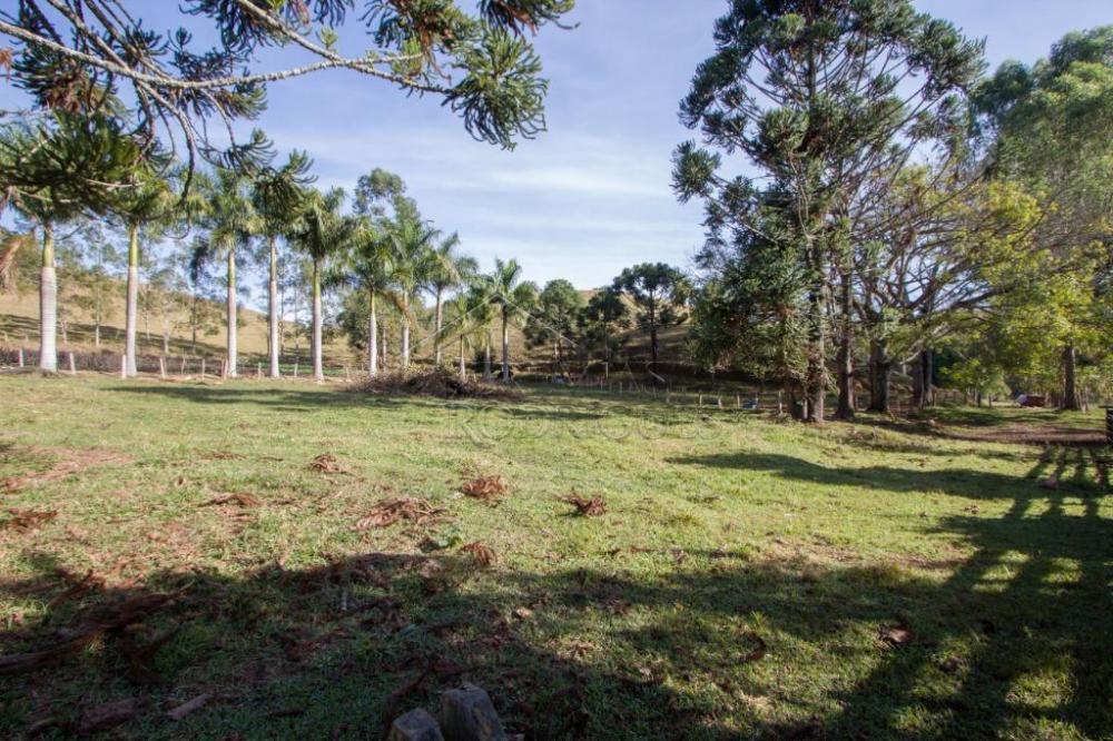 Rural misto à venda por R$ 4.500.000,00 - Lagoinha/SP