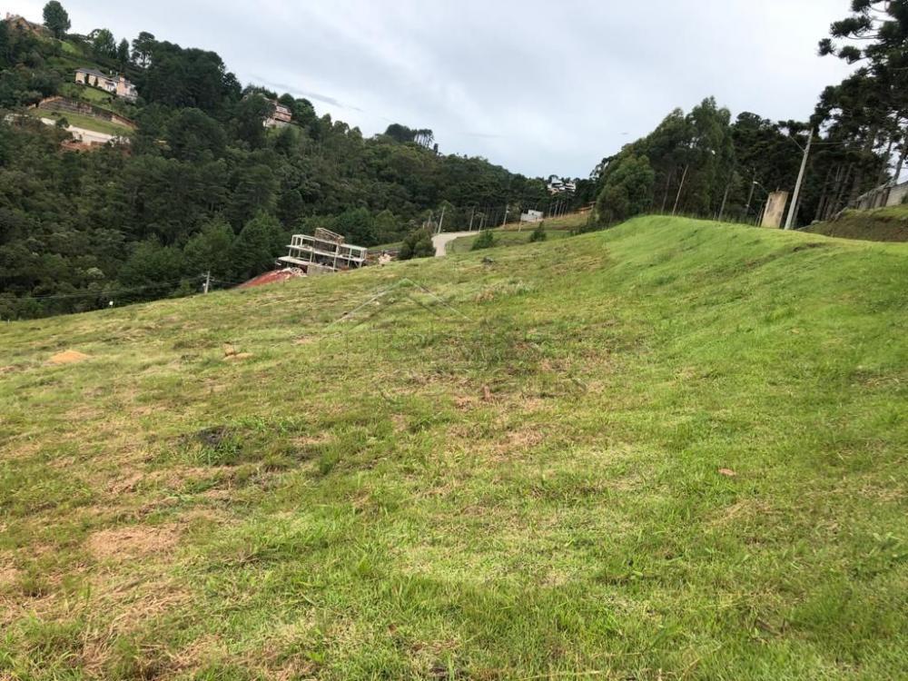 Terreno residencial à venda por R$ 1.000.000,00 - Campos do Jordão/SP