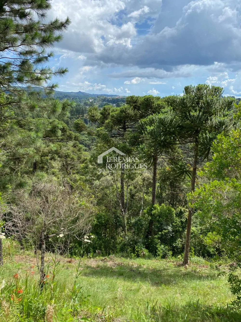 Terreno, 1.088 m², à venda por R$ 1.200.000 - Condomínio Reserva Figueiredo - Campos do Jordão/SP